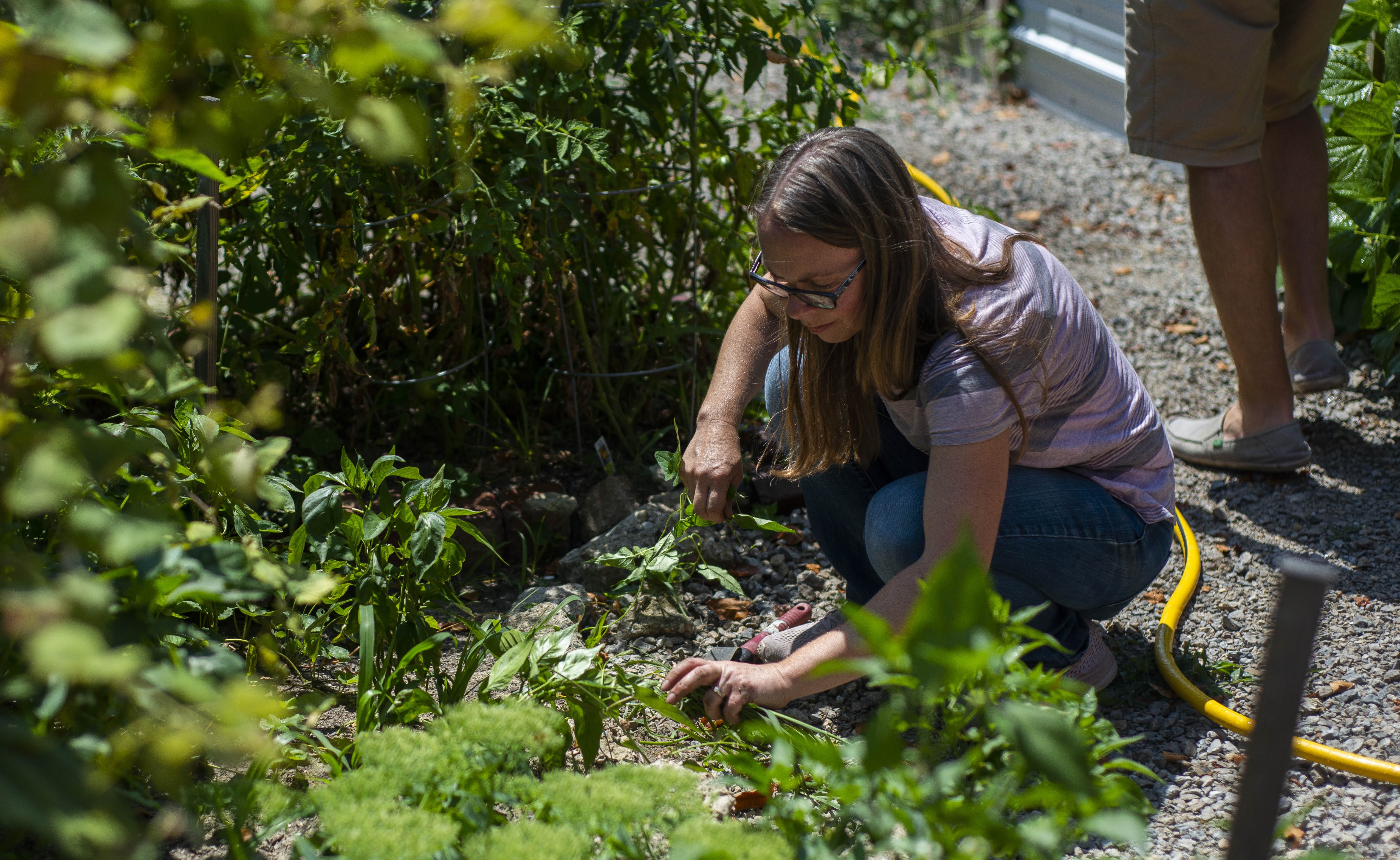 ULC_CommunityGarden_0803_004